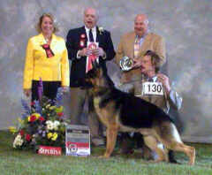 Born in the USA goes 2nd Novice at 2002 Nationals